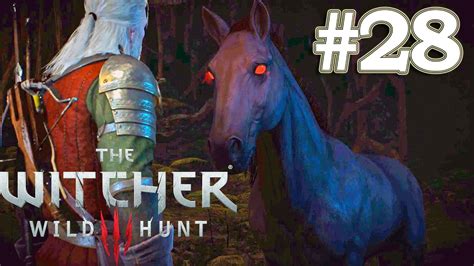 witcher 3 crones|witcher 3 solve downwarrens problem.